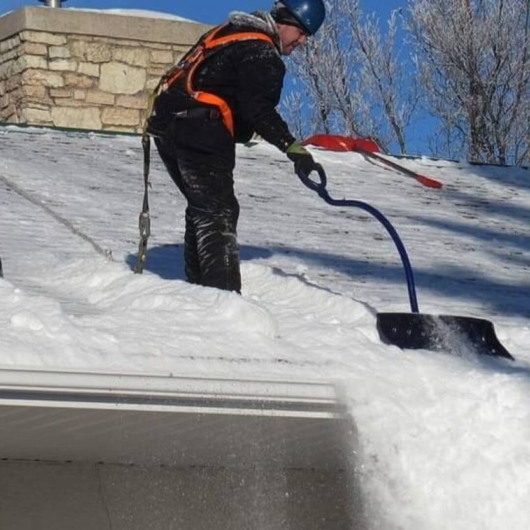 Snow removal professional